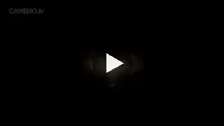 NAME? Hot cambabe from chaturbate